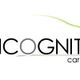 Incognito Car Service