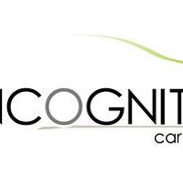 Incognito Car Service Jobs in Ireland
