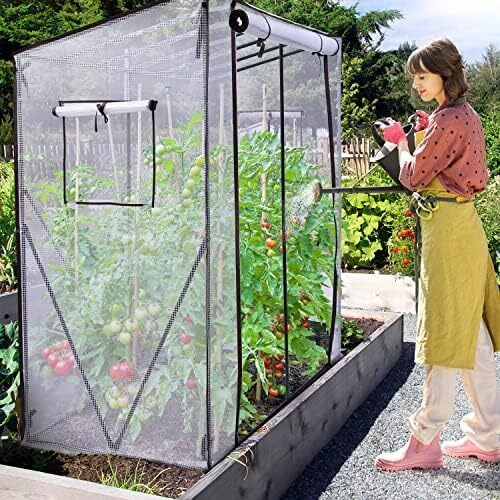 Greenhouse for Outdoors: Portable Green House Heavy Duty with Roll-Up Zippered Door PE Cover, Tall Plastic Greenhouses for Outside Winter Plants Shed for Backyard, White 200x77x170 cm