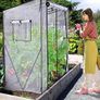 Greenhouse for Outdoors: Portable Green House Heavy Duty with Roll-Up Zippered Door PE Cover, Tall Plastic Greenhouses for Outside Winter Plants Shed for Backyard, White 200x77x170 cm Image 6