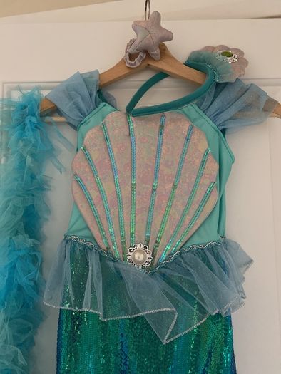 Mermaid costume