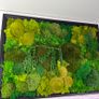 Wall decor 55x77cm natural moss Image 4