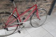Bike retro Peugeot ladies