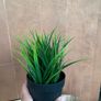 IKEA artificial plants Image 2