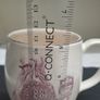 Vintage Sandland The Ashes 1883 Cricket Mug Image 5