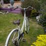 Bike for sale Image 3