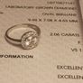14ct White Gold 1.19 carat Lab Grown Diamond Halo Cluster Ring (Bargain Price) Image 6