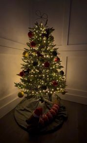 5ft Ashford Fir Christmas Tree and Warm White Lights Used Once