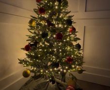 5ft Ashford Fir Christmas Tree and Warm White Lights Used Once