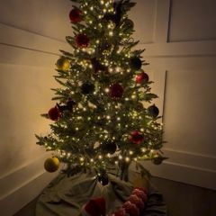 5ft Ashford Fir Christmas Tree and Warm White Lights Used Once