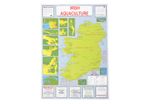 Bord Iascaigh Mhara Irish Aquaculture/Fishing/Fish Farms B2 Size Map/Poster 1989