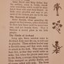 rare vintage school book Image 8