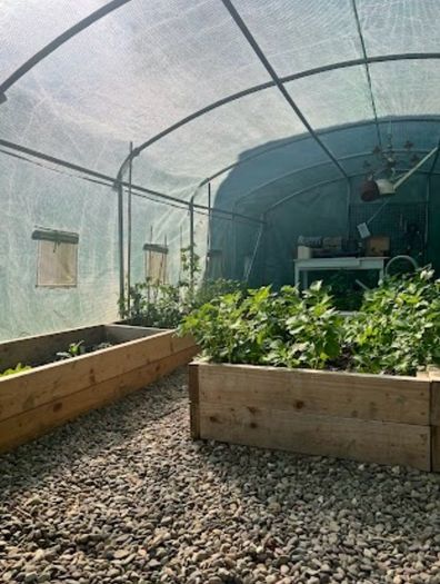 Polytunnel and top quality Raised Beds