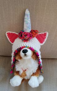 Unicorn Baby Hat