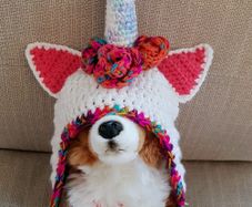 Unicorn Baby Hat