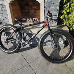 Fat Bike