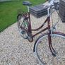 Adults Bike Image 4