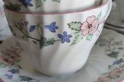 Vintage (50) Myott Meakin Porcelain Tea set for 6 Spring Fields Jenny Rhodes England Pink