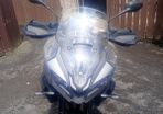 Triumph Tiger 2025