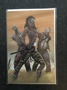 The Walking Dead #19 virgin blind bag variant