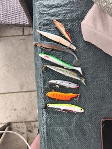sea bass lures