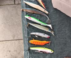 sea bass lures