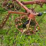 2 Pz Hay Bob Image 6