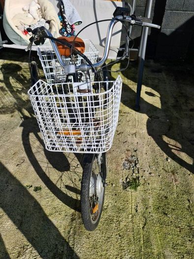 Trike Battery
