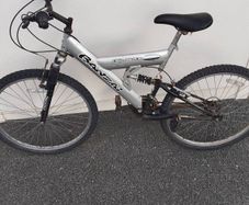 18"  Bicycle