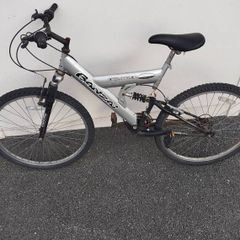 18"  Bicycle