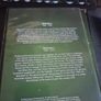 Green is the Colour DVD Image 5