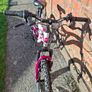 20-inch bike Image 8