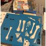 Big Ideas Human Body learning box Image 3