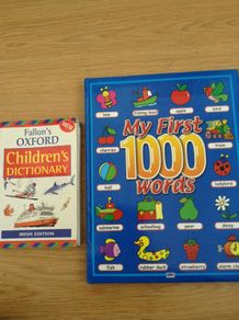 My first 100 words. Children's dictionary