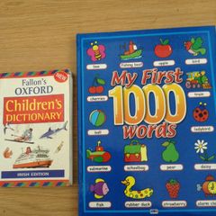 My first 100 words. Children's dictionary