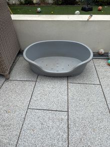 dog bed
