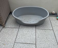 dog bed