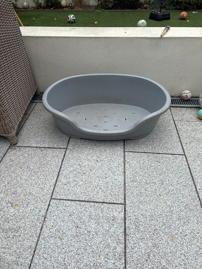 dog bed