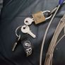 Back pack security net Image 3