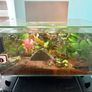 Fluval 23L fish tank Image 5