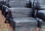 haylage