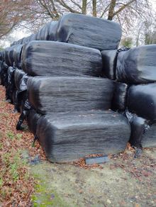 haylage