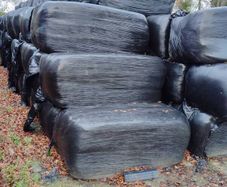haylage