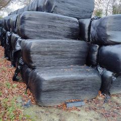 haylage