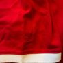 Large British and Irish Lions 2021 Supporters Rugby Jersey Image 4