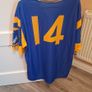 Vintage Wicklow 2003 Gaa Jersey Player Issued Image 4
