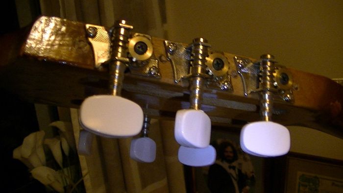 LARK Guitar