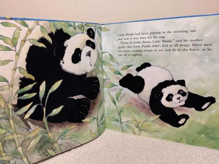 Little Panda, A Soft To Touch large Hardback Book
