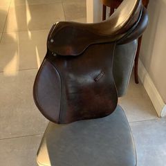 Saddle