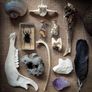 Spectacular 12 Days of Christmas Advent Calendar Mystery Surprise Oddities and Curiosities Witchy Style Gift Christmas Yule Image 6